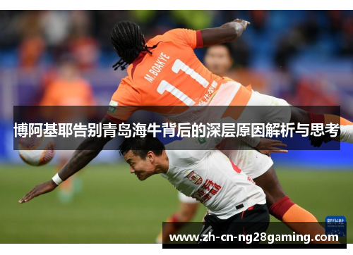 博阿基耶告别青岛海牛背后的深层原因解析与思考