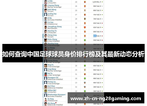 如何查询中国足球球员身价排行榜及其最新动态分析