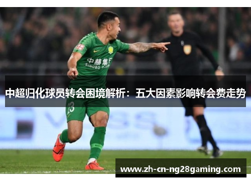 中超归化球员转会困境解析：五大因素影响转会费走势
