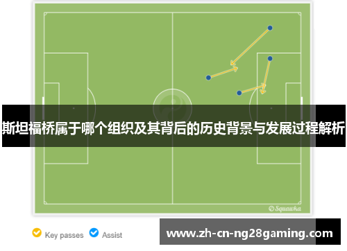斯坦福桥属于哪个组织及其背后的历史背景与发展过程解析
