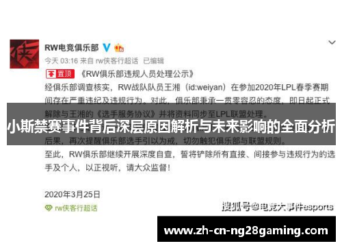 小斯禁赛事件背后深层原因解析与未来影响的全面分析