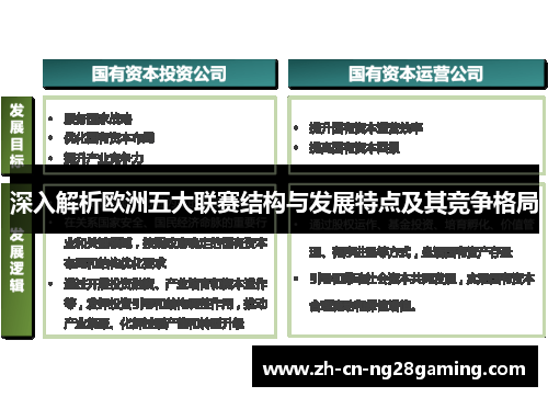 深入解析欧洲五大联赛结构与发展特点及其竞争格局