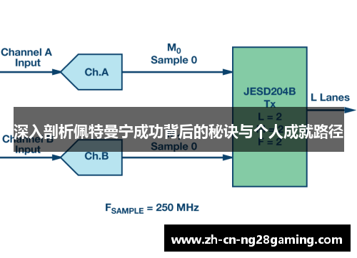 深入剖析佩特曼宁成功背后的秘诀与个人成就路径