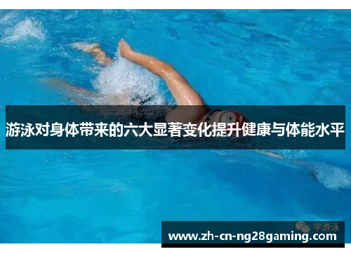 游泳对身体带来的六大显著变化提升健康与体能水平