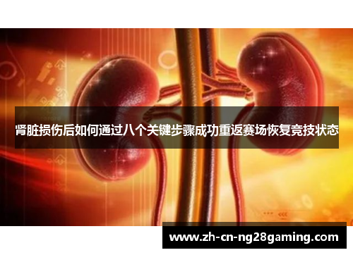 肾脏损伤后如何通过八个关键步骤成功重返赛场恢复竞技状态