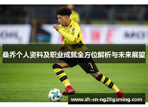 桑乔个人资料及职业成就全方位解析与未来展望