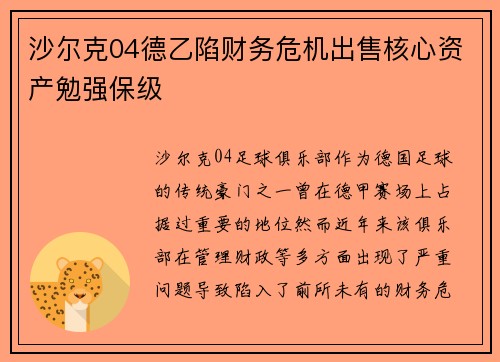 沙尔克04德乙陷财务危机出售核心资产勉强保级